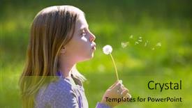  Presentation with dandelion - PPT theme enhanced with expire - blond kid girl blowing dandelion background and a gold colored foreground