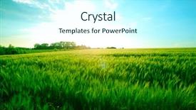 Presentation with blue plain - Amazing presentation theme having green meadow under blue sky backdrop and a cool aqua colored foreground