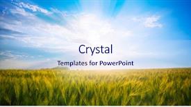  Presentation with green blur floral - Slides having green meadow under blue sky background and a sky blue colored foreground