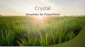  Presentation with blue green - PPT layouts consisting of green-meadow-under-blue-sky background and a lemonade colored foreground