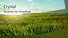  Presentation with blue green - Colorful presentation enhanced with green meadow under blue sky backdrop and a mint green colored foreground