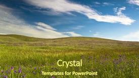  Presentation with beautiful green - Theme having green meadow with a great background and a tawny brown colored foreground