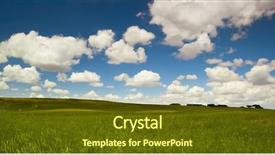  Presentation with meadow - Beautiful presentation theme featuring street show window of white flowers shop backdrop and a light gray colored foreground