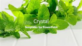  Presentation with green leaves - PPT layouts having green-mint-leaves and a tawny brown colored foreground