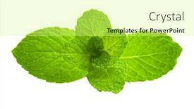  Presentation with white green - Audience pleasing presentation theme consisting of green-mint-on-white-background backdrop and a  colored foreground