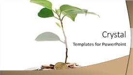  Presentation with sprout - PPT theme consisting of green money - coins sprout background and a white colored foreground