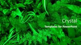  Presentation with moss - Slide deck having green-moss-and-plant background and a forest green colored foreground