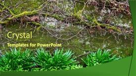  Presentation with moss - Cool new theme with green-moss-covered-old-wall backdrop and a tawny brown colored foreground