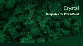  Presentation with moss - Audience pleasing PPT theme consisting of green-moss-in-forest-close backdrop and a forest green colored foreground