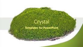  Presentation with white green - Slide set with green-moss-isolated-on-white background and a tawny brown colored foreground