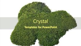  Presentation with white green - Audience pleasing slide set consisting of green-moss-isolated-on-white backdrop and a tawny brown colored foreground