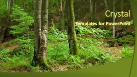  Presentation with forest - PPT layouts featuring green-mountain-forest-in-pyrenees background and a tawny brown colored foreground
