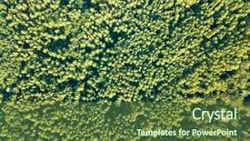  Presentation with india green natural - Amazing slide set having green natural background of deciduous backdrop and a tawny brown colored foreground