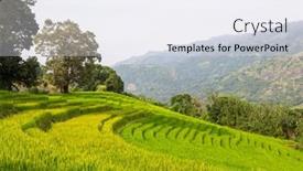  Presentation with rice fields - PPT layouts featuring green-natural-landscapes-rice-fields background and a sky blue colored foreground