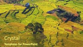  Presentation with rice fields - PPT theme enhanced with green-natural-landscapes-rice-fields background and a tawny brown colored foreground