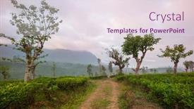  Presentation with sri lanka - Theme featuring green-natural-landscapes-tea-plantation background and a sky blue colored foreground
