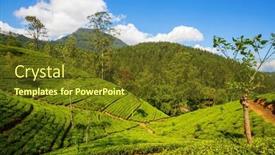  Presentation with sri lanka - Presentation theme having green-natural-landscapes-tea-plantation background and a tawny brown colored foreground