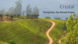  Presentation with sri lanka - Presentation theme enhanced with green-natural-landscapes-tea-plantation background and a light blue colored foreground