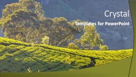  Presentation with plantation - Slide set consisting of green-natural-landscapes-tea-plantation background and a ocean colored foreground