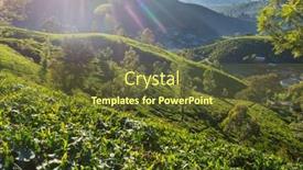  Presentation with plantation - Slide deck enhanced with green-natural-landscapes-tea-plantation background and a tawny brown colored foreground