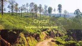  Presentation with tea plantation - Presentation design enhanced with green-natural-landscapes-tea-plantation background and a tawny brown colored foreground