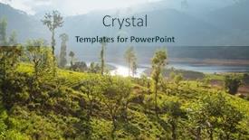  Presentation with plantation - PPT theme enhanced with green-natural-landscapes-tea-plantation background and a light blue colored foreground