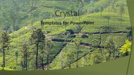  Presentation with plantation - PPT theme consisting of green-natural-landscapes-tea-plantation background and a seafoam green colored foreground