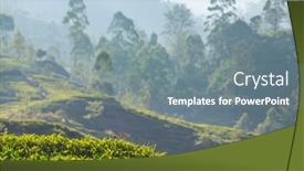  Presentation with plantation - Slide deck enhanced with green-natural-landscapes-tea-plantation background and a gray colored foreground