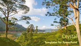  Presentation with plantation - Theme enhanced with green-natural-landscapes-tea-plantation background and a tawny brown colored foreground