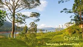  Presentation with plantation - PPT theme featuring green-natural-landscapes-tea-plantation background and a tawny brown colored foreground