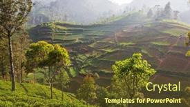  Presentation with plantation - PPT layouts consisting of green-natural-landscapes-tea-plantation background and a tawny brown colored foreground