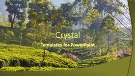  Presentation with plantation - Theme featuring green-natural-landscapes-tea-plantation background and a tawny brown colored foreground