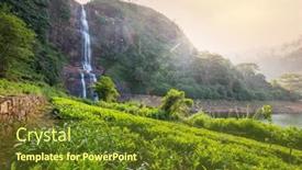  Presentation with plantation - 