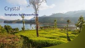  Presentation with plantation - 