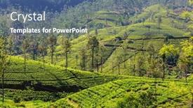  Presentation with plantation - 