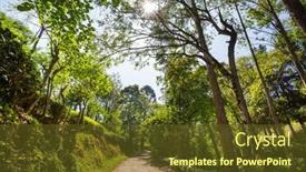  Presentation with plantation - 