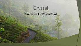  Presentation with plantation - 