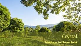  Presentation with plantation - Slides enhanced with green-natural-landscapes-tea-plantation background and a tawny brown colored foreground