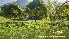  Presentation with plantation - Presentation having green-natural-landscapes-tea-plantation background and a tawny brown colored foreground