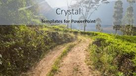  Presentation with plantation - PPT theme having green-natural-landscapes-tea-plantation background and a light blue colored foreground