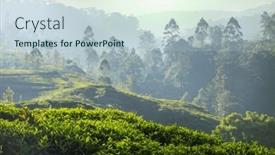  Presentation with plantation - Slide set having green-natural-landscapes-tea-plantation background and a lemonade colored foreground