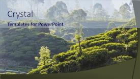  Presentation with plantation - Slide set featuring green-natural-landscapes-tea-plantation background and a lemonade colored foreground