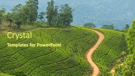  Presentation with plantation - Presentation design with green-natural-landscapes-tea-plantation background and a tawny brown colored foreground