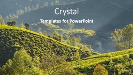  Presentation with plantation - Presentation design having green-natural-landscapes-tea-plantation background and a gray colored foreground