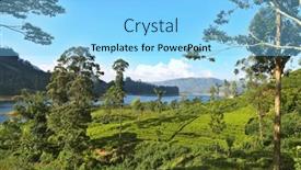  Presentation with plantation - Theme having green-natural-landscapes-tea-plantation background and a light blue colored foreground