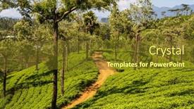  Presentation with plantation - Slide deck featuring green-natural-landscapes-tea-plantation background and a tawny brown colored foreground
