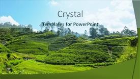  Presentation with plantation - Theme with green-natural-landscapes-tea-plantation background and a cool aqua colored foreground