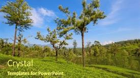 Presentation with plantation - Presentation having green-natural-landscapes-tea-plantation background and a tawny brown colored foreground