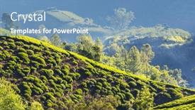  Presentation with plantation - PPT layouts enhanced with green-natural-landscapes-tea-plantation background and a teal colored foreground