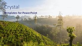  Presentation with plantation - Theme consisting of green-natural-landscapes-tea-plantation background and a sky blue colored foreground